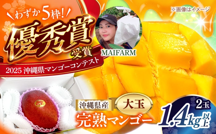 マンゴー まんごー 芒果 Mango mango フルーツ ふるーつ Fruit 果物 果実 くだもの 完熟 沖縄県産 沖縄産