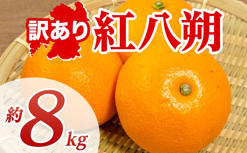 【訳あり】 紅八朔 約8kg