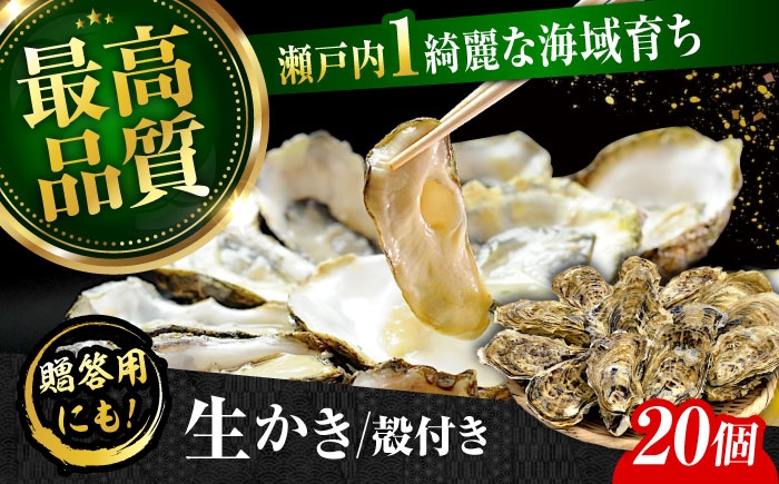 牡蠣 生食 むき身 殻付き かき カキ 生牡蠣 広島牡蠣 オイスター カキフライ 魚介類 貝類 海鮮 広島県産 国産 産地直送