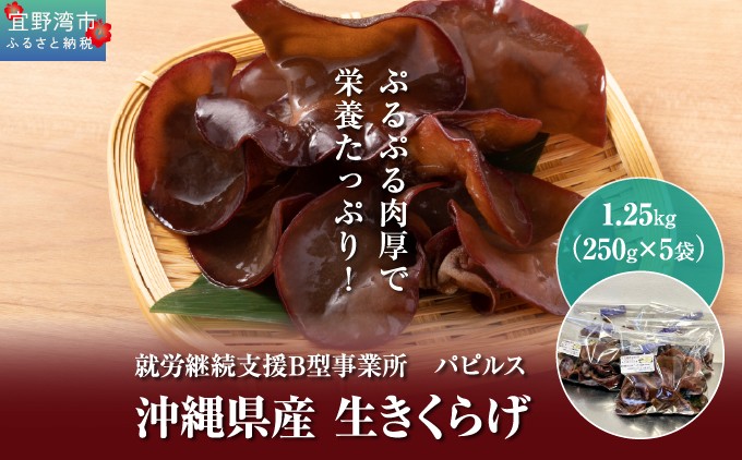 生きくらげ1.25kg (250g5袋) | 就労継続支援B型事業所パピルス | 沖縄県 宜野湾市 送料無料