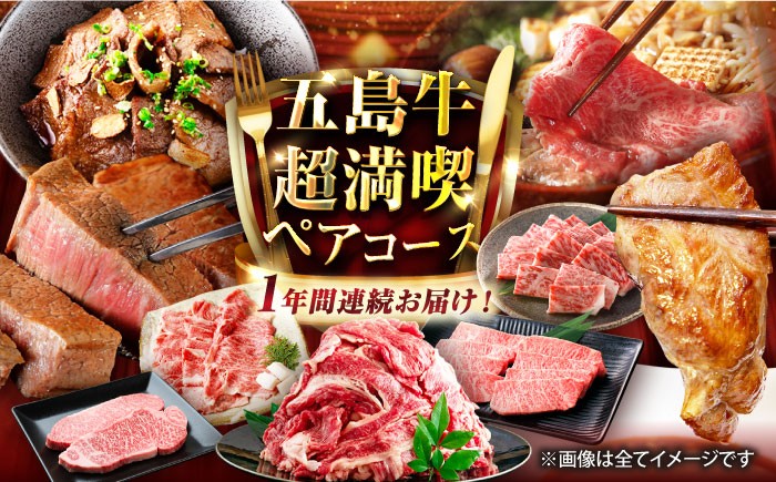 肉 牛肉 和牛 五島牛 ごとうぎゅう 五島市 長崎県 長崎 定期便 国産 九州 厳選 ブランド牛 プレミアム 特選 50万