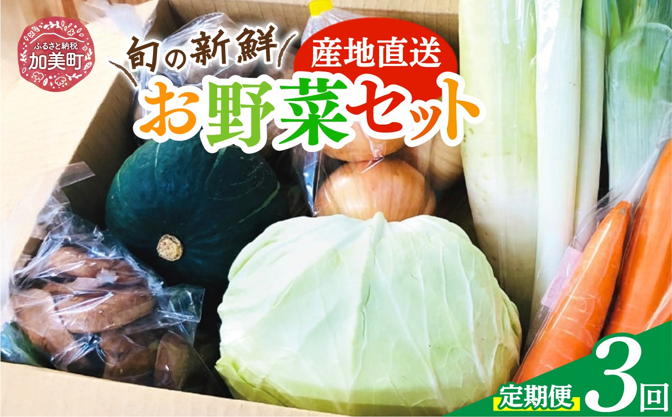 【3回 定期便】産地直送！旬の新鮮野菜セット（8品程度） [やくらい土産センター 宮城県 加美町] 野菜 季節野菜 旬野菜