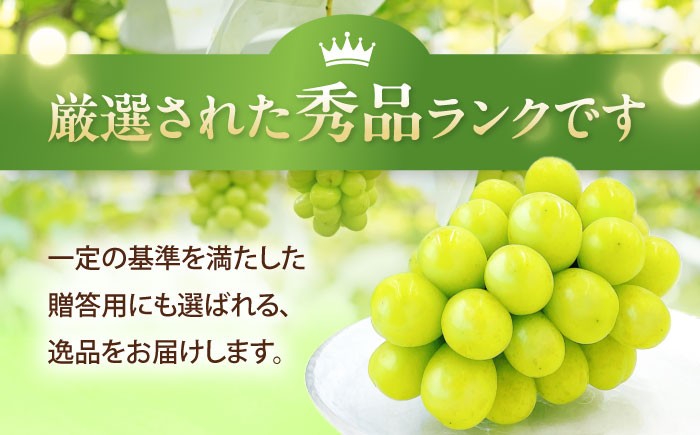 シャインマスカット しゃいんますかっと シャイン マスカット ますかっと 秀品 2房 1kg 皮ごと 葡萄 ブドウ ぶどう