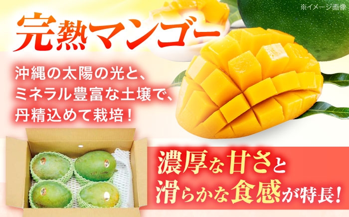 キーツマンゴー マンゴー まんごー 芒果 Mango mango 果物 フルーツ 果実 完熟 国産 特産品 季節限定 数量限定