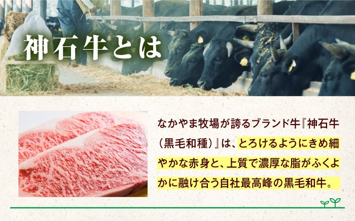ステーキ ステーキ肉 ステーキ肉 赤身 ステーキ 4枚 ステーキ 3枚 牛肉 ステーキ 牛肉 赤身 焼肉 赤身 焼肉用 牛肉
