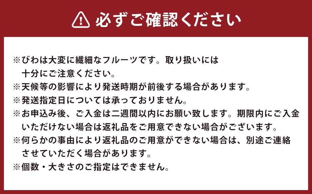 長崎びわ「なつたより」15玉-18玉入り フルーツ 果物 くだもの ビワ