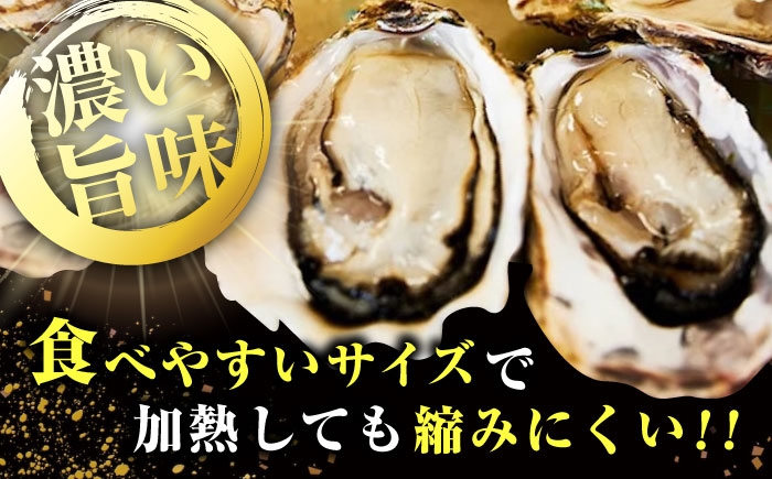 牡蠣 生食 むき身 殻付き かき カキ 生牡蠣 広島牡蠣 オイスター カキフライ 魚介類 貝類 海鮮 広島県産 国産 産地直送