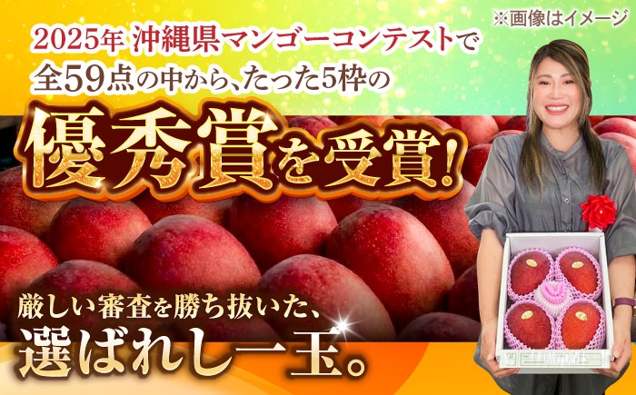 沖縄県産 完熟マンゴー 秀品 1kg (2〜3玉) マンゴー 沖縄 果物 フルーツ ギフト まんごー 1kg Mango