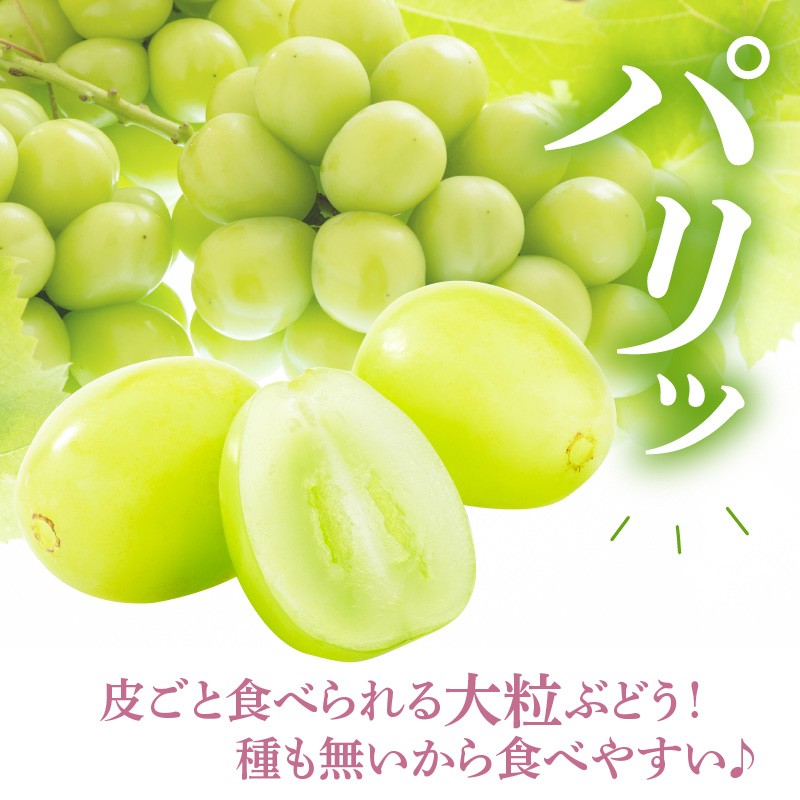 写真はイメージです