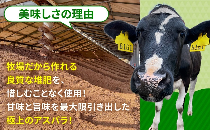 酪農 牧場 こだわり アスパラガス