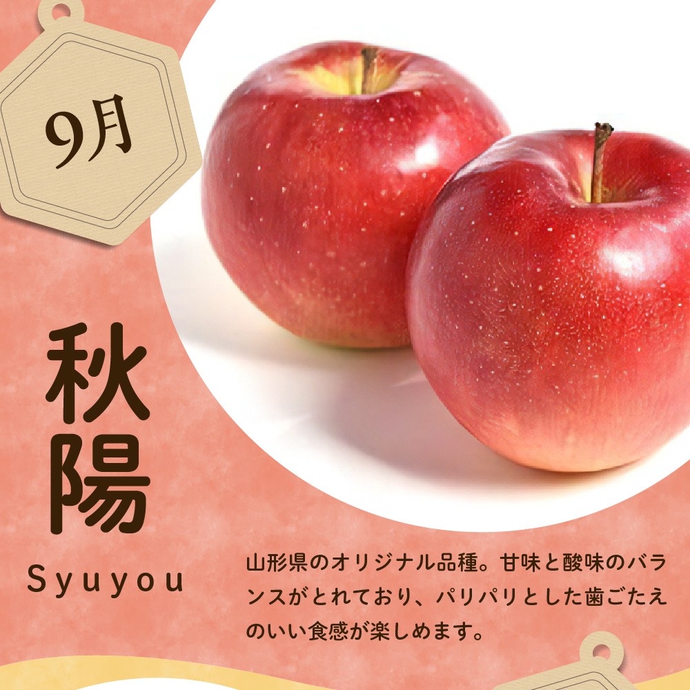 ※写真はイメージです