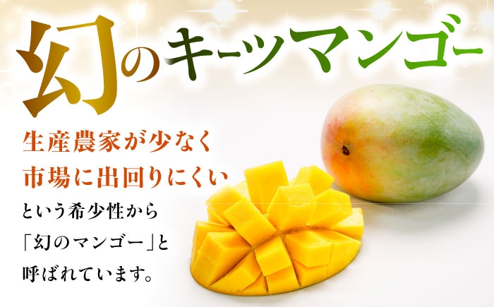 キーツマンゴー マンゴー まんごー 芒果 Mango mango 訳あり 訳アリ わけあり ワケアリ 果物 フルーツ