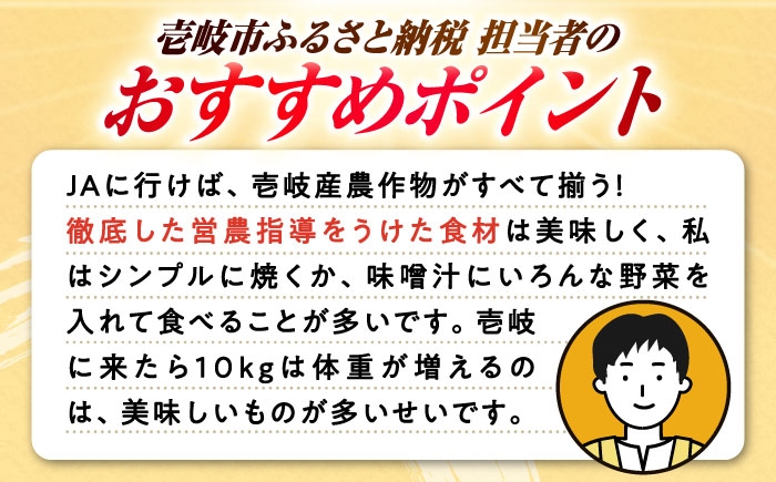 お米 白米 米 白米 野菜 セット 新鮮 季節野菜 ごはん 食べ比べ 朝食 昼食