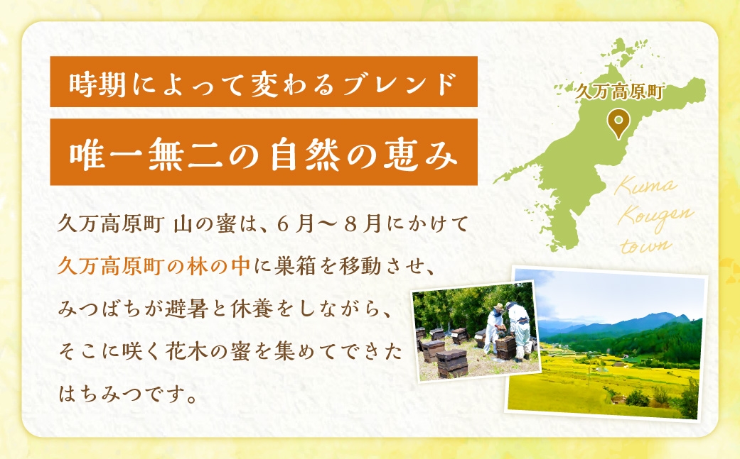 久万高原町 山の蜜 500g 久万高原町産 純粋 蜂蜜 ハチミツ【えひめの町（超）推し！（久万高原町）】（330）
