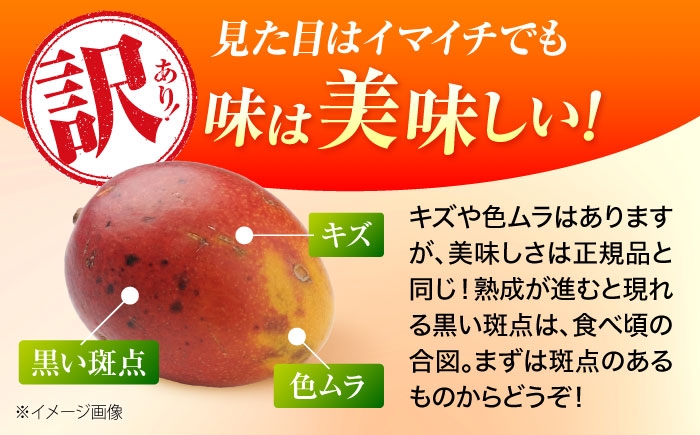 訳ありマンゴー 約3kg 完熟マンゴー 訳あり 約3キロ訳アリ わけあり ワケあり ワケアリ マンゴー まんごー Mango