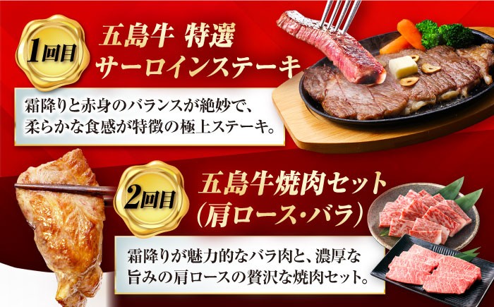 肉 牛肉 和牛 五島牛 ごとうぎゅう 五島市 長崎県 長崎 定期便 国産 九州 厳選 ブランド牛 プレミアム 最高級 25万