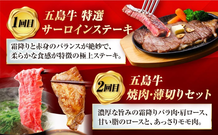 肉 牛肉 和牛 五島牛 ごとうぎゅう 五島市 長崎県 長崎 定期便 国産 九州 厳選 ブランド牛 ファミリー 特選 100万