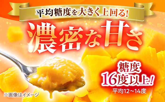 沖縄県産 完熟マンゴー 訳アリ 2kg (3～5玉) マンゴー 沖縄 果物 フルーツ ギフト 家庭用 訳あり まんごー