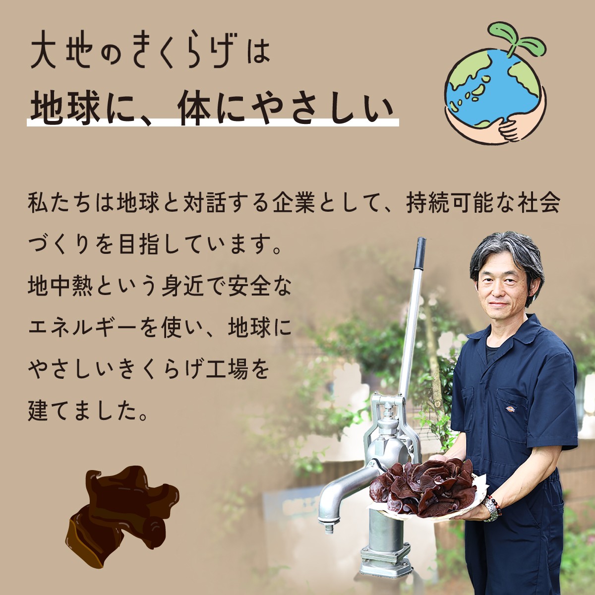 きくらげ キクラゲ 木耳 乾燥きくらげ 大地のきくらげ 国産きくらげ