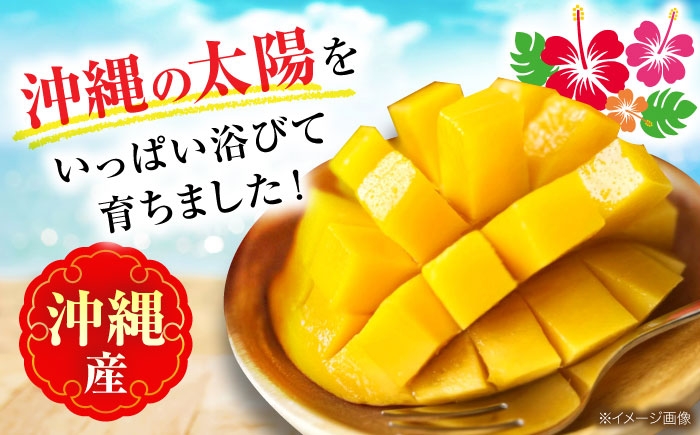 キーツマンゴー マンゴー まんごー 芒果 Mango mango 訳あり 訳アリ わけあり ワケアリ 果物 フルーツ
