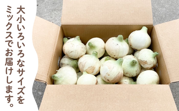 玉ねぎの名産地！みずみずしくておいしい！