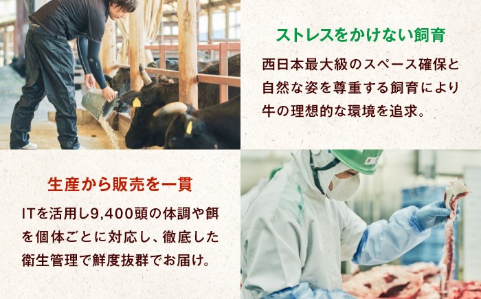 ステーキ ステーキ肉 ステーキ肉 赤身 ステーキ 4枚 ステーキ 3枚 牛肉 ステーキ 牛肉 赤身 焼肉 赤身 焼肉用 牛肉