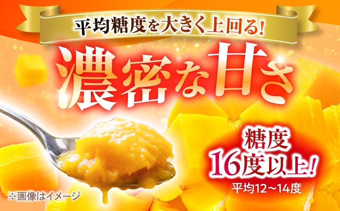 マンゴー まんごー 芒果 Mango mango フルーツ ふるーつ Fruit 果物 果実 くだもの 完熟 沖縄県産 沖縄産