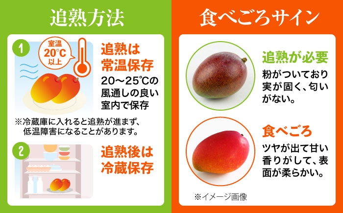 訳ありマンゴー 約3kg 完熟マンゴー 訳あり 約3キロ訳アリ わけあり ワケあり ワケアリ マンゴー まんごー Mango