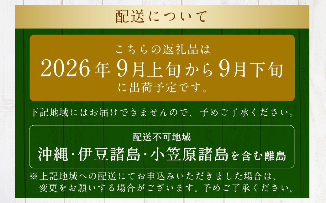 シャインマスカット 2房 （約1.1kg）