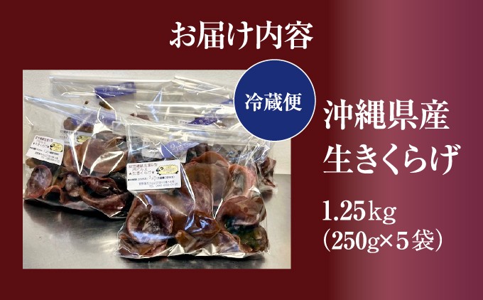 生きくらげ1.25kg (250g5袋) | 就労継続支援B型事業所パピルス | 沖縄県 宜野湾市 送料無料