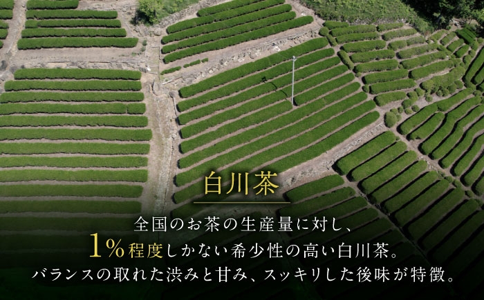 歴史ある美濃の希少な逸品、贅沢な和紅茶