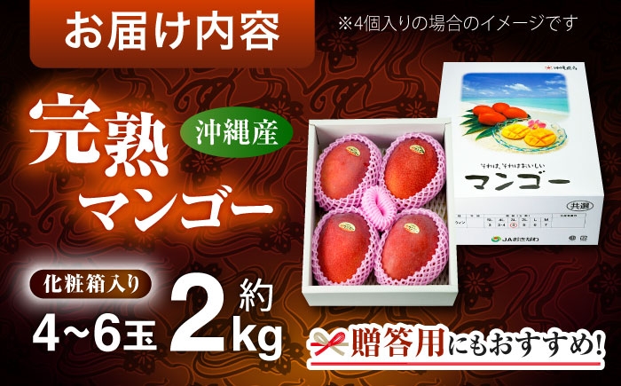 マンゴー フルーツ ふるーつ まんごー くだもの 果物 mango MANGO Mango トロピカルフルーツ 果実 芒果