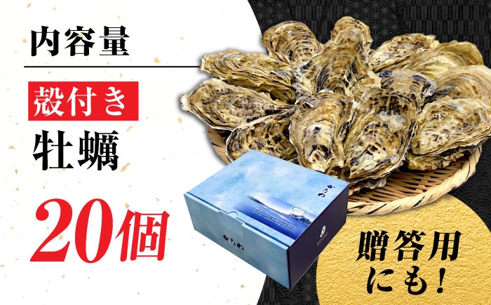 牡蠣 生食 むき身 殻付き かき カキ 生牡蠣 広島牡蠣 オイスター カキフライ 魚介類 貝類 海鮮 広島県産 国産 産地直送