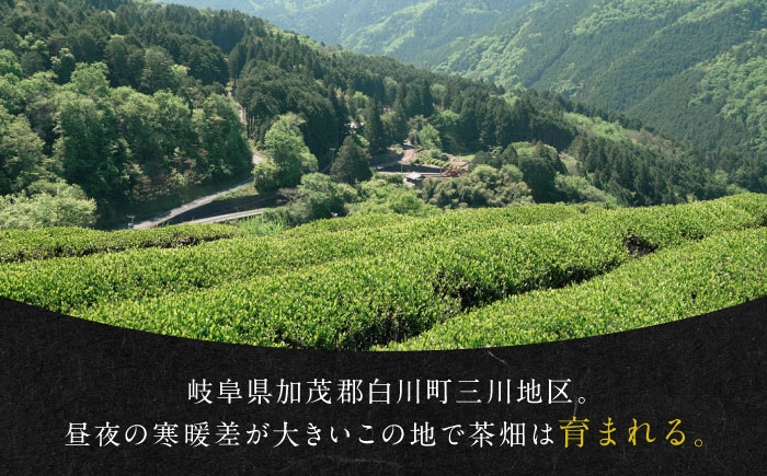 歴史ある美濃の希少な逸品、贅沢な和紅茶