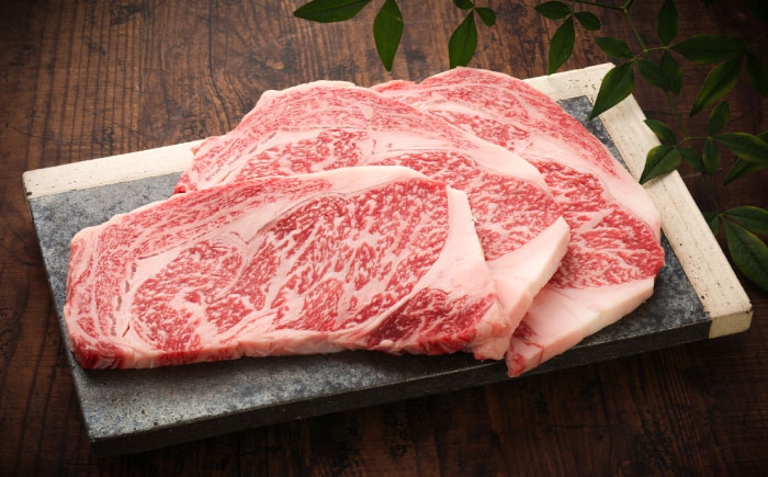 菊陽町 あかうし 熊本県 肉 にく niku ブランド 旨み くまもとあか牛 和牛 阿蘇 自然 自社牧場 直接 最高 定期便