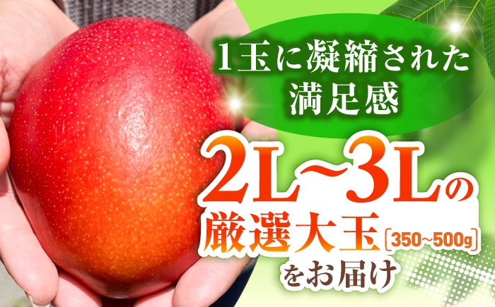 沖縄県産 完熟マンゴー 贈答用 2kg (3〜5玉) マンゴー 沖縄 果物 フルーツ ギフト まんごー 2kg Mango