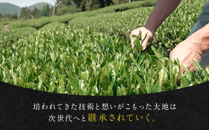 白川町、三川地区のやぶきた一番茶を使用した贅沢な和紅茶
