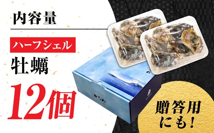 牡蠣 生食 むき身 殻付き かき カキ 生牡蠣 広島牡蠣 オイスター カキフライ 魚介類 貝類 海鮮 広島県産 国産 産地直送