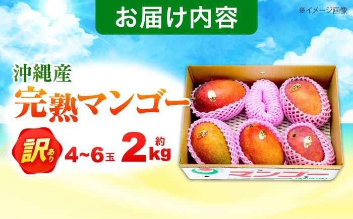  マンゴー フルーツ ふるーつ まんごー 訳アリ わけあり 訳あり 訳有 くだもの 果物 mango 果実 トロピカルフルーツ