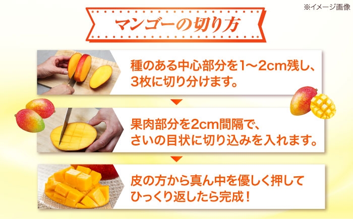 キーツマンゴー マンゴー まんごー 芒果 Mango mango 果物 フルーツ 果実 完熟 国産 特産品 季節限定 数量限定