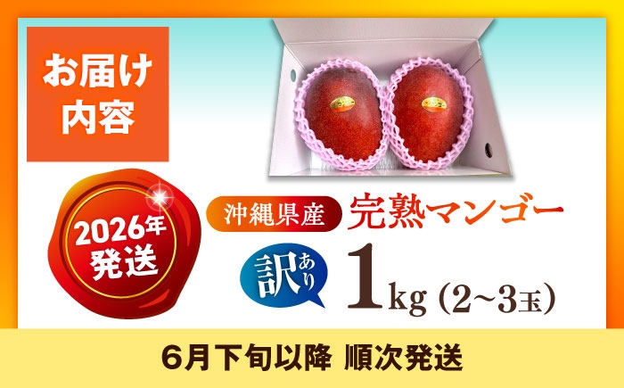沖縄県産 完熟マンゴー 訳アリ 1kg (2〜3玉) マンゴー 沖縄 果物 フルーツ ギフト まんごー 訳あり 家庭用 