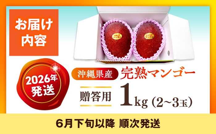 沖縄県産 完熟マンゴー 贈答用 1kg (2〜3玉) マンゴー 沖縄 果物 フルーツ ギフト まんごー 1kg Mango