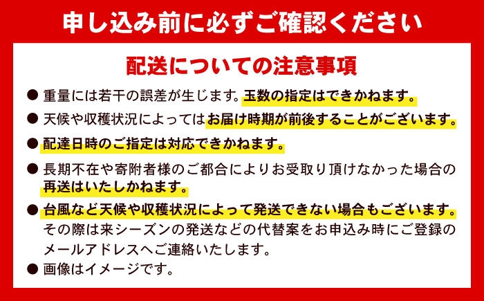 キーツマンゴー マンゴー まんごー 芒果 Mango mango 果物 フルーツ 果実 完熟 国産 特産品 季節限定 数量限定