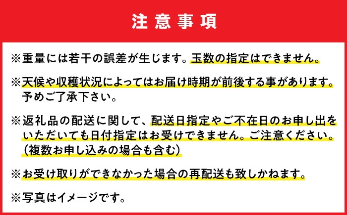 沖縄県産 完熟マンゴー 訳アリ 2kg (3～5玉) マンゴー 沖縄 果物 フルーツ ギフト 家庭用 訳あり まんごー