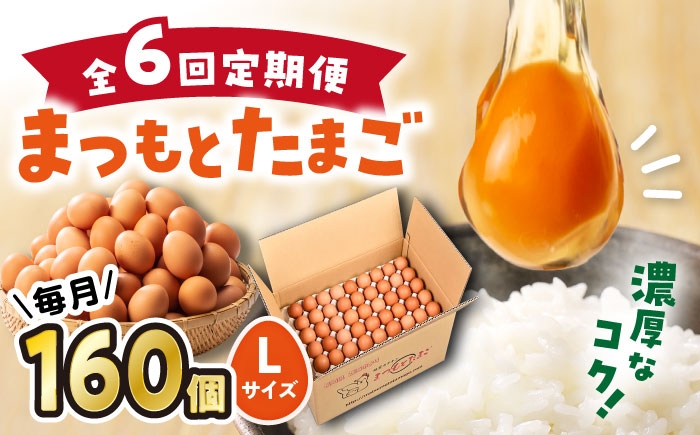 たまご 卵 赤玉 