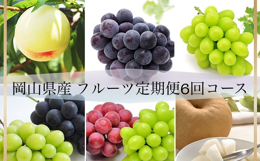 岡山県産フルーツ定期便＜お一人様向け＞