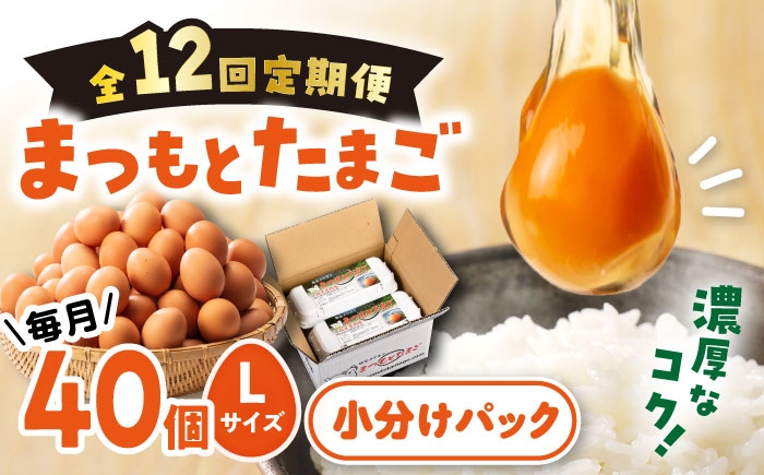 卵 赤玉 Lサイズ たまご