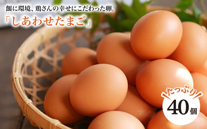 卵 たまご 赤玉 平飼い