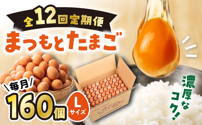 たまご 卵 赤玉 