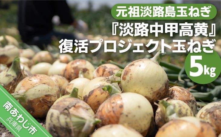 元祖淡路島玉ねぎ『淡路中甲高黄』復活プロジェクト